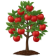Apple Tree