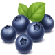 Blueberry