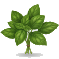 Basil