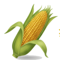 Corn