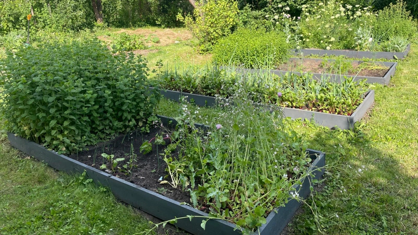 Choose a real garden plot